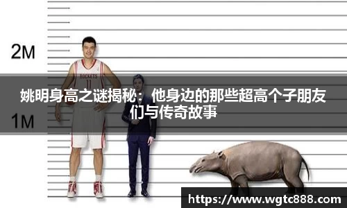 姚明身高之谜揭秘：他身边的那些超高个子朋友们与传奇故事